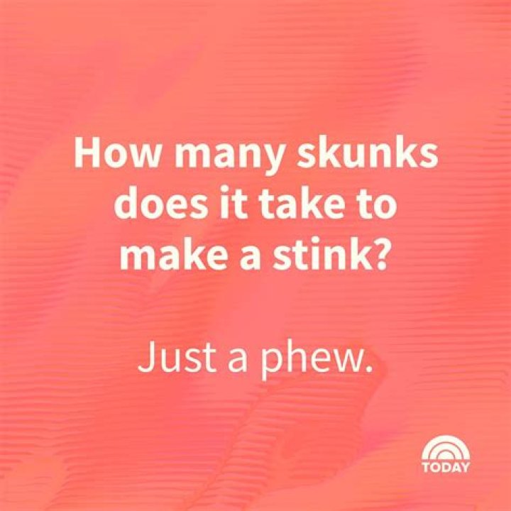 200 Funny Stupid Jokes To Make Your Day