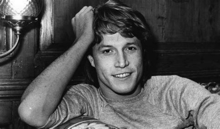 Andy Gibb Net Worth, Income, Salary, Earnings, Biography