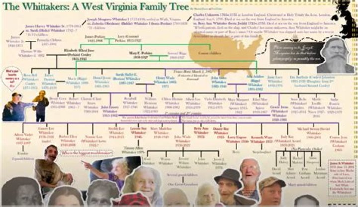 Double First Cousins Meaning Explained Through The Whitaker Inbred Family Tree
