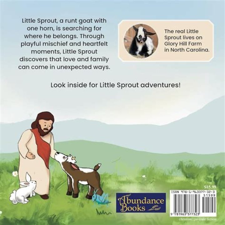 Jen Drohan Net Worth