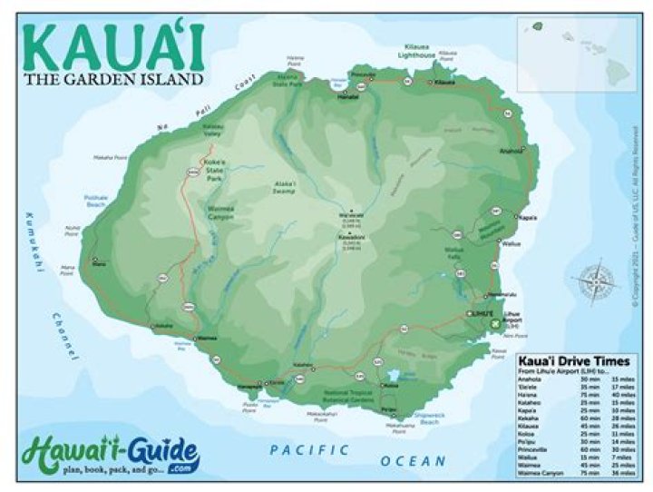 Kaui Kauhi Net Worth
