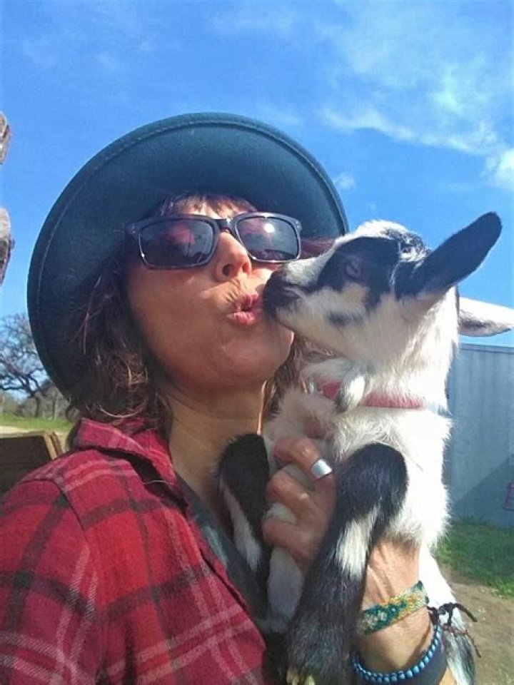 Laurel Miller Wikipedia: Learn Everything About Her