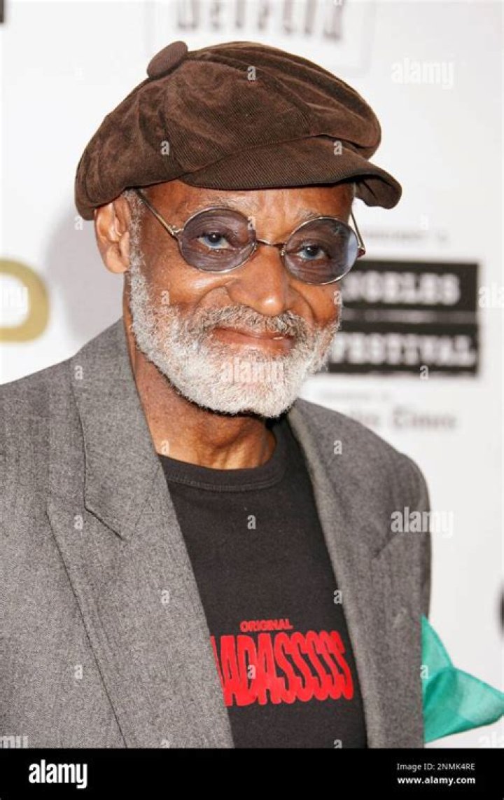 Max Van Peebles Net Worth
