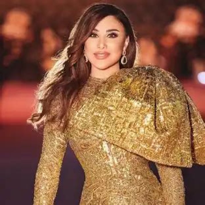 Najwa Karam’s Net Worth, Biography, Career, Awards, Fact and Life Story