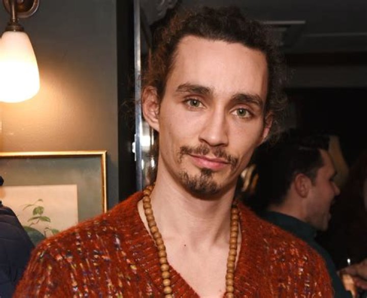 Robert Sheehan Gay: Bio, Wiki, Age, Joe Sheehan, Girlfriend, Misfits, Umbrella Academy, Movies, TV Shows and Net Worth