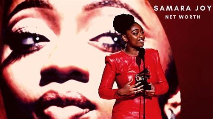 Samara Bay Net Worth