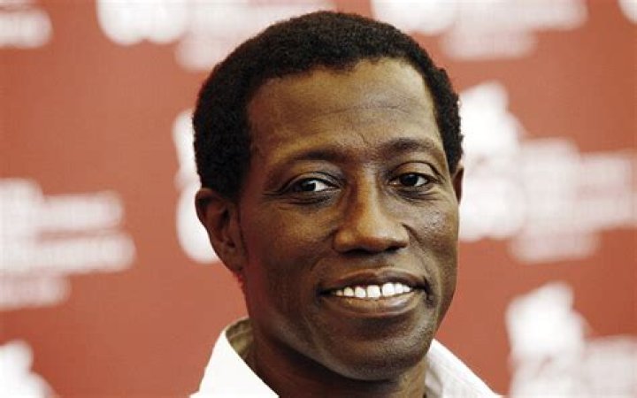Wesley Snipes’s net worth, fact, career, awards, biography & life story